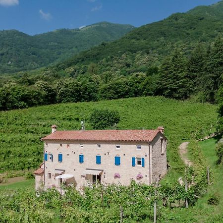 Agriturismo Podere Del Bosc Valmareno Bagian luar foto