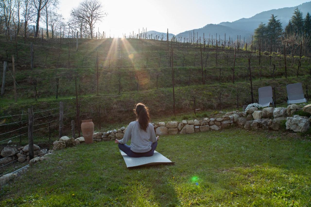 Agriturismo Podere Del Bosc Valmareno Bagian luar foto