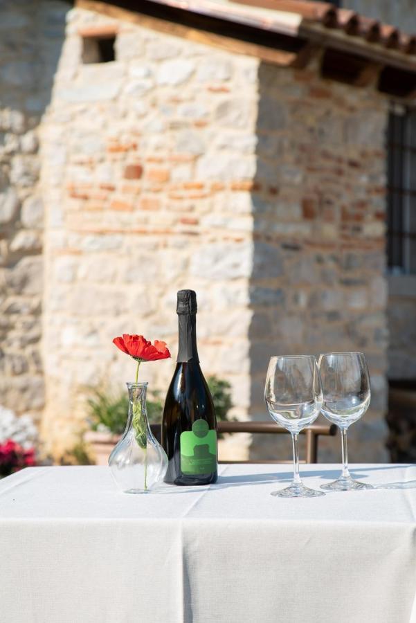 Agriturismo Podere Del Bosc Valmareno Bagian luar foto