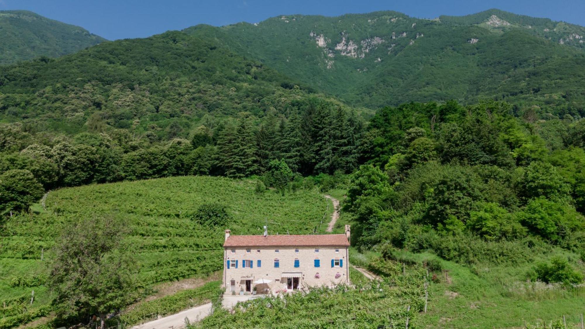 Agriturismo Podere Del Bosc Valmareno Bagian luar foto